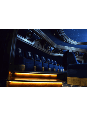 Home Theater Door HT101