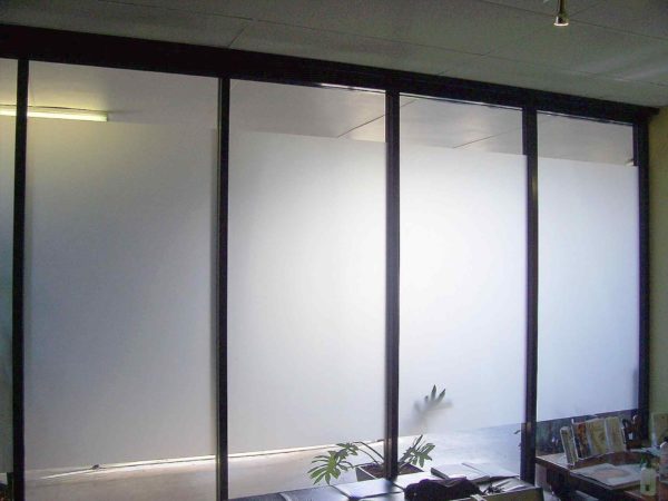 Glass Office Doors - OD1038