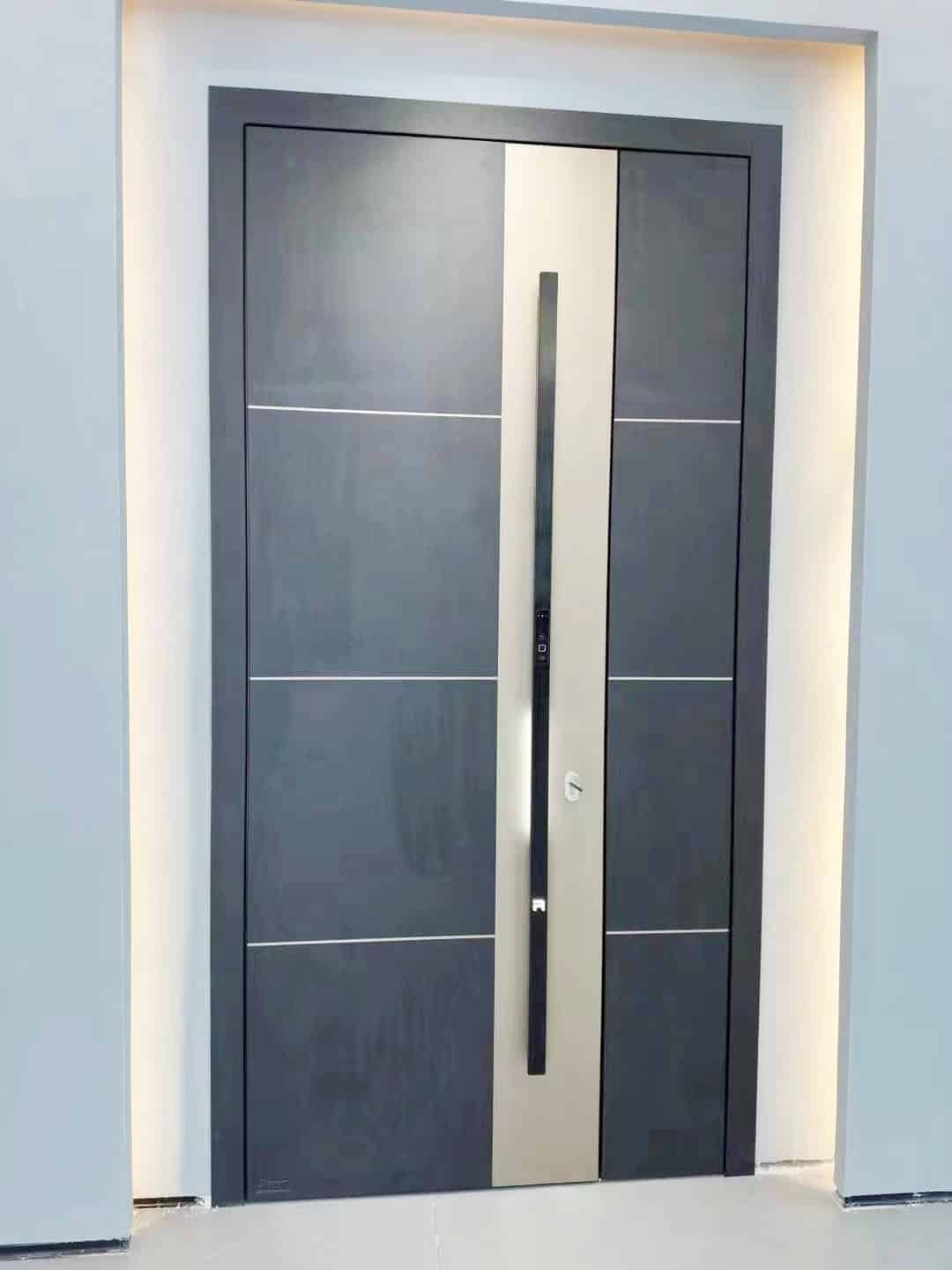 Designer Steel Doors DSD102