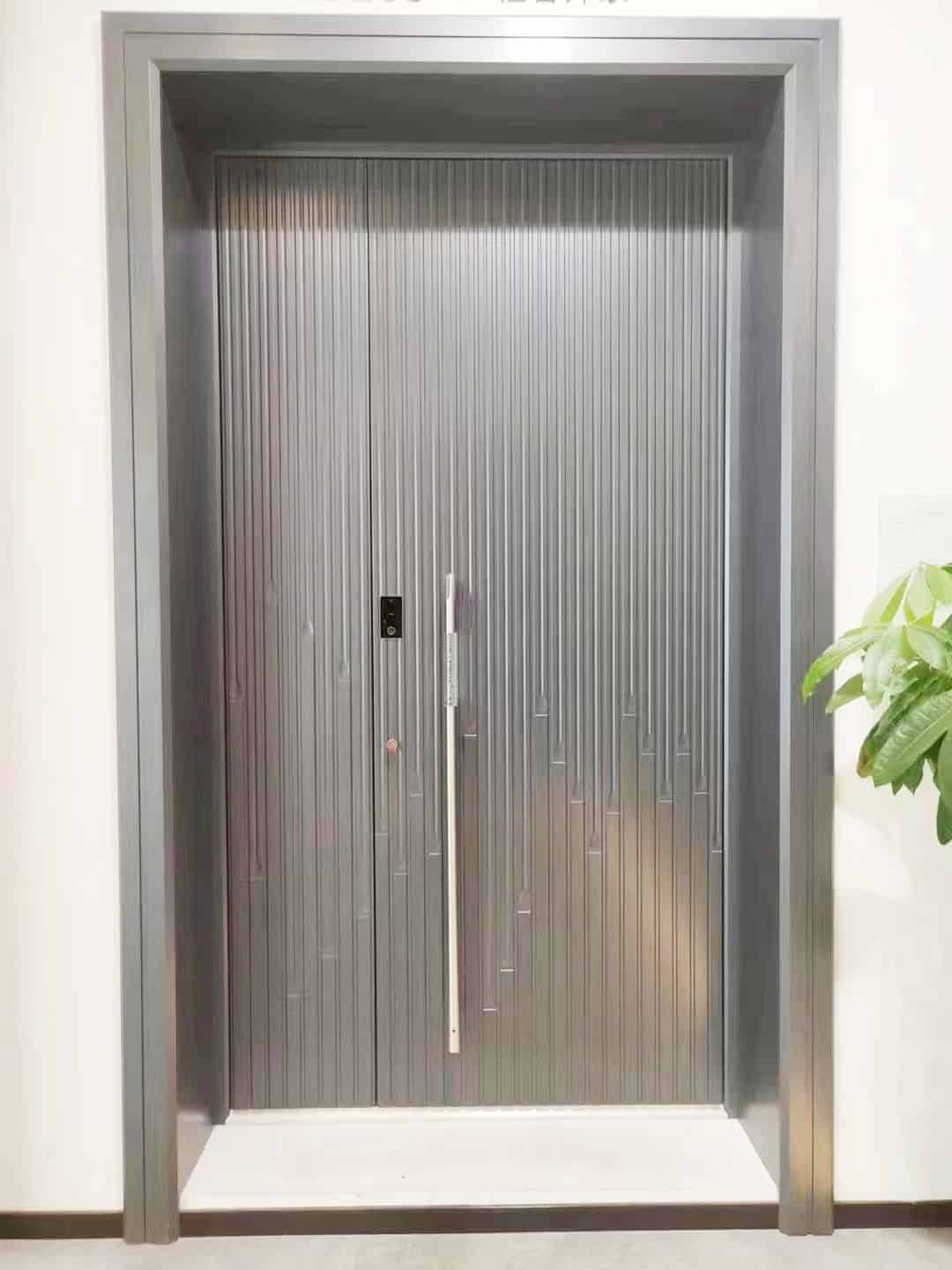 Designer Steel Doors DSD105